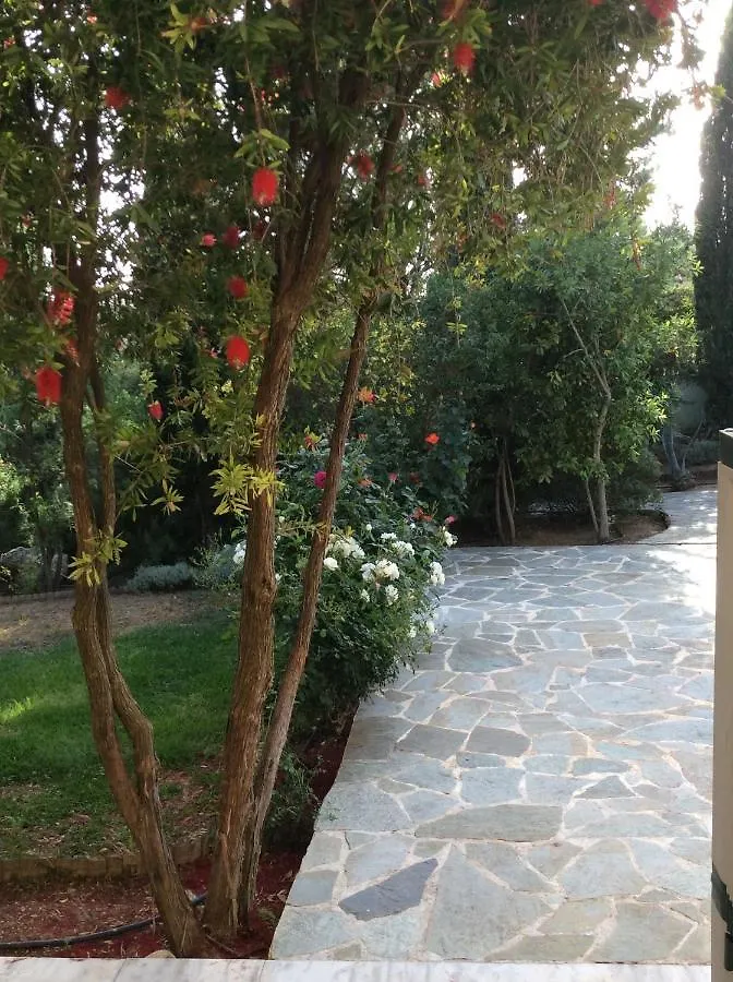 Villa Ammnoy Luxury Villa With Pool In Quiet Location, Near To Beach, Tavernas And Shops 0*, Lourdata (Kefalonia)