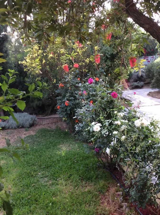 Villa Ammnoy Luxury Villa With Pool In Quiet Location, Near To Beach, Tavernas And Shops